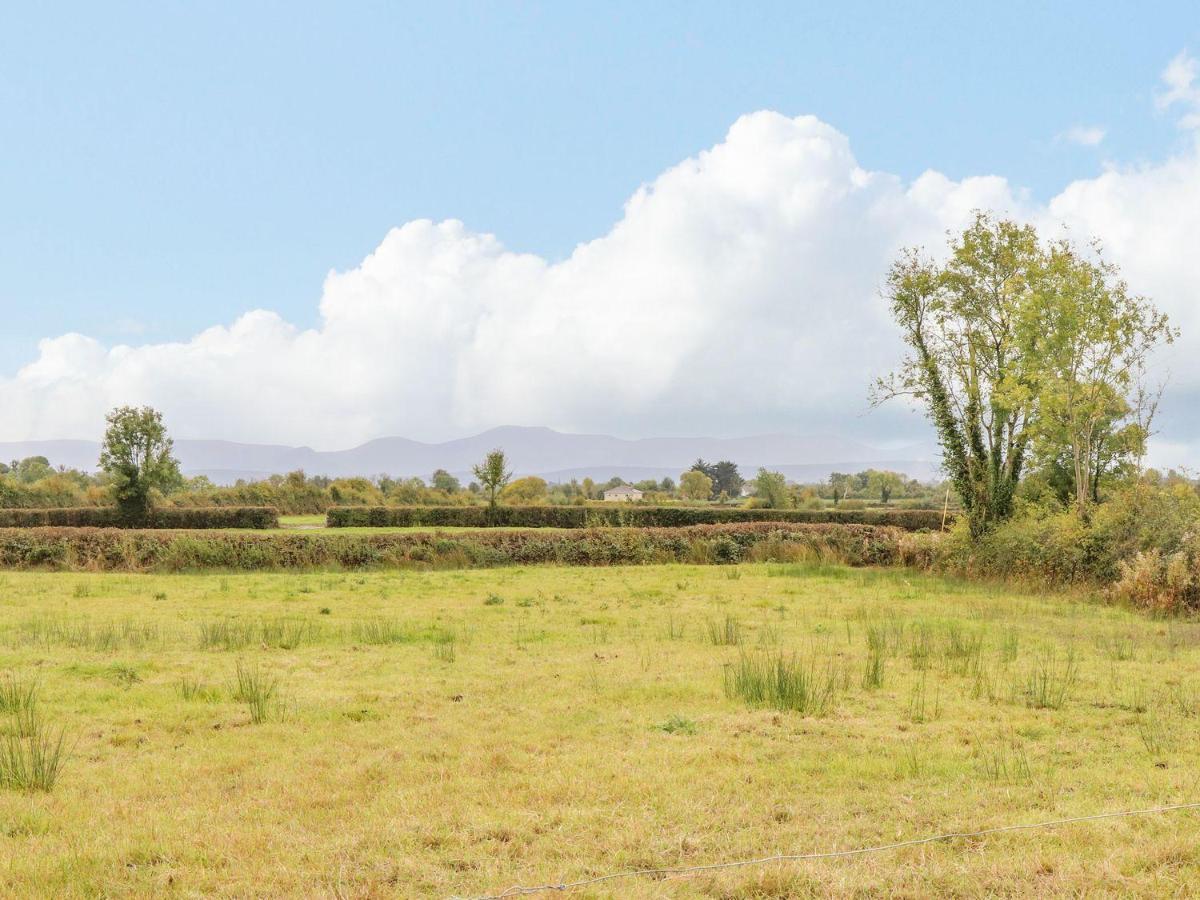 The Artist'S Barn Villa Limerick Junction Ngoại thất bức ảnh